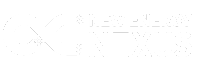 Nexus-Logo_3